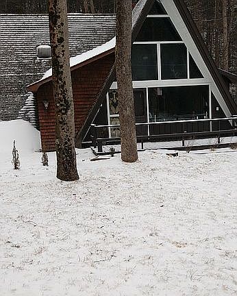 4th image of 3 Forest Park Pl
