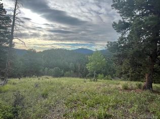 Tc Rd #7, Idaho Springs, CO 80452