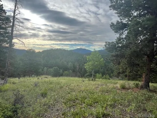 TC Rd 7, Idaho Springs, CO 80452