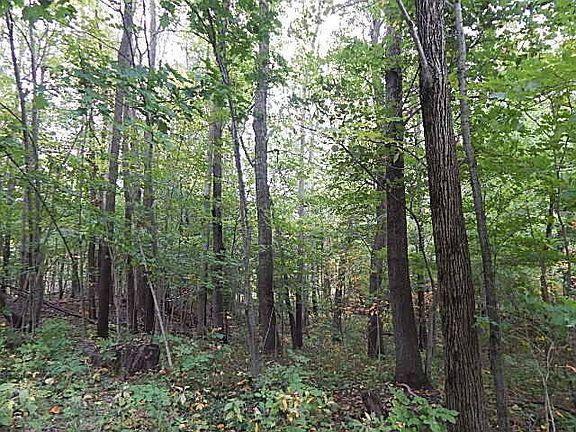 3rd image of 10385 White Pine Hwy