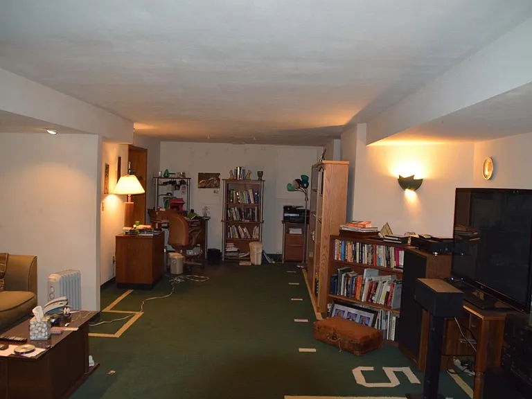 Basement bar/entertainment area (partial view)