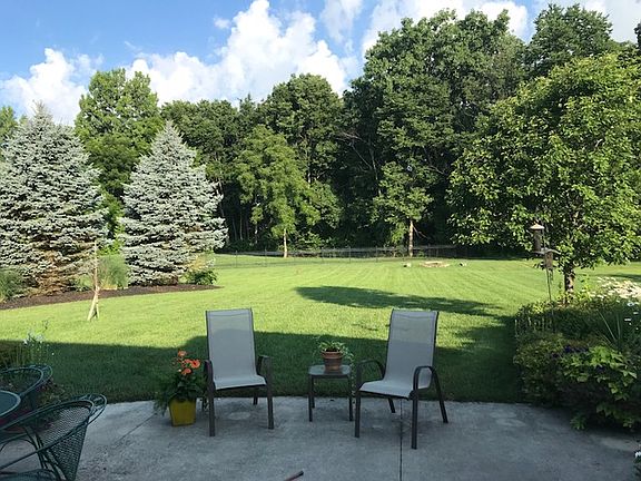 Rear Yard