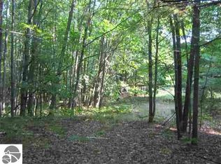 N A W Heath Rd, Rose City, MI 48654