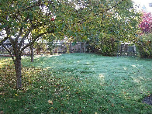 3rd image of 10111 47th Ave SW