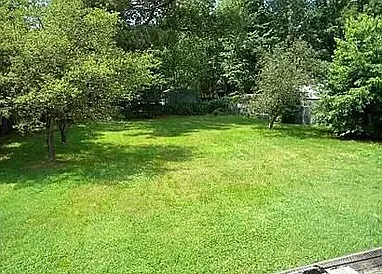 Dalewood Rd — Photo 3