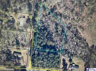 1119 Rosebud Dr, Pamplico, SC 29583