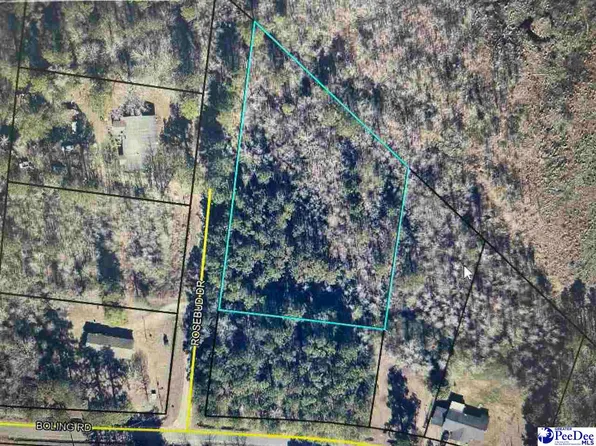 1119 Rosebud Dr, Pamplico, SC 29583