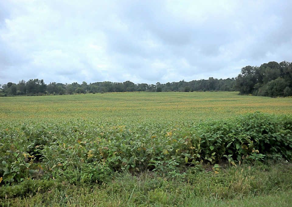 2nd image of 2463 W Green Hill Rd