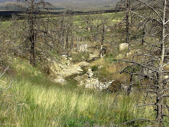 4th image of Nhn Ranger Way