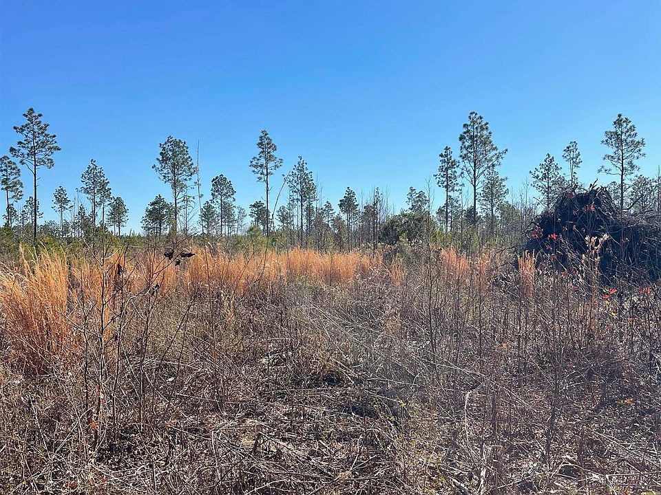 2nd image of 595 Mincey Dr. #Tract 10