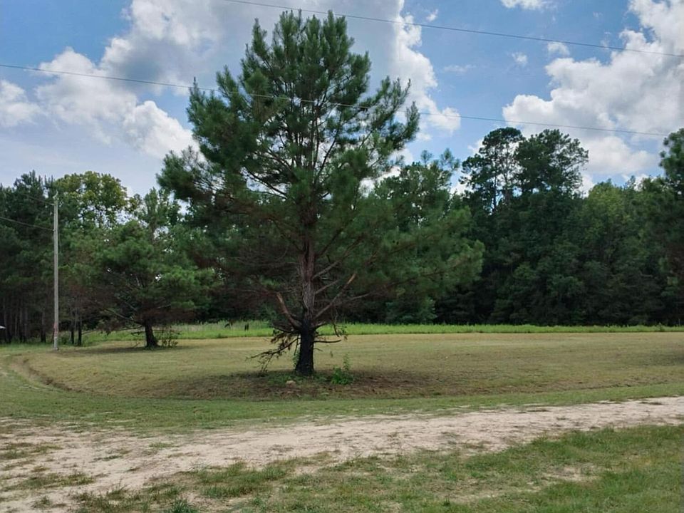2nd image of 250 Dandelion Ct