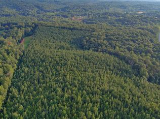 Fox Mountain Rd #10, Columbus, NC 28722