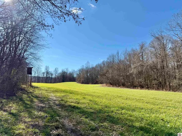 988 Chipps Rd, Smithland, KY 42081