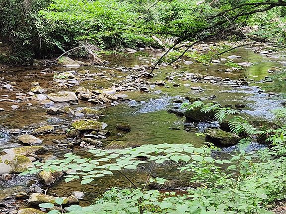 3rd image of 0 Tumbling Creek Rd