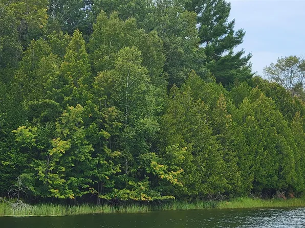 S River Rd, Cheboygan, MI 49721