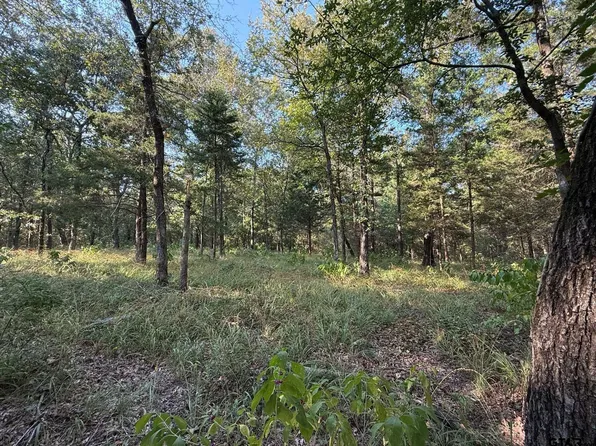 County Road 2798, Mineola, TX 75773