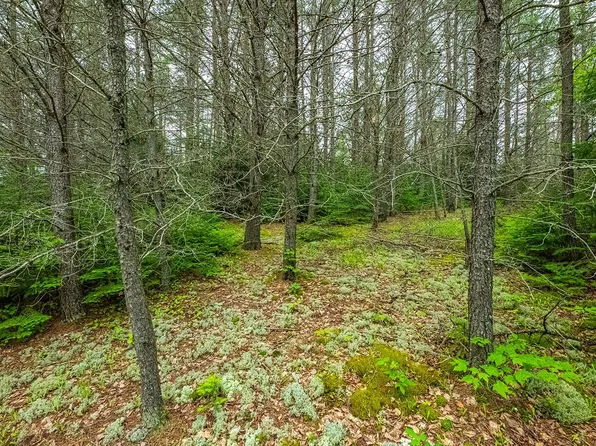 Lehman Rd, Three Lakes, WI 54562