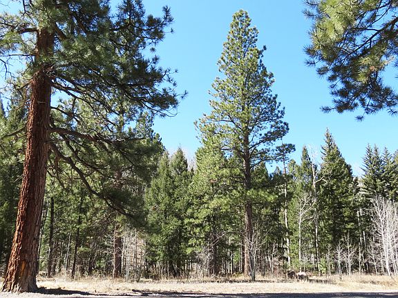 4th image of 22 W Canyon View Dr