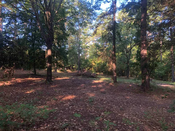 County Road 4224, Atlanta, TX 75551