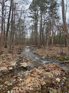 (Undisclosed Address), Dover, AR, 72837