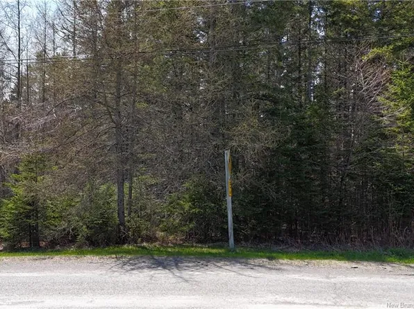 Francoeur Hill Rd, Denmark, NB E7G 1R6