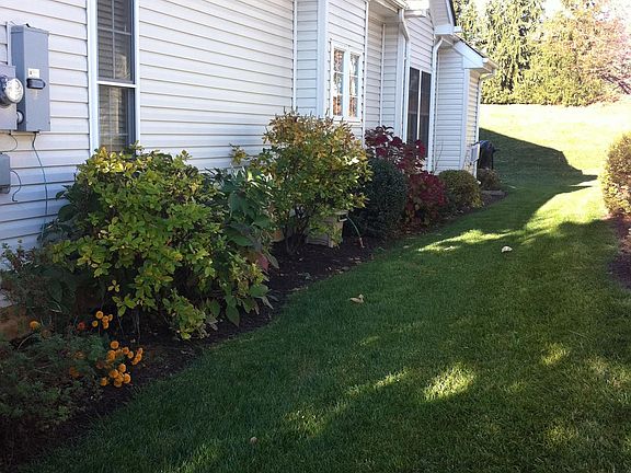 Side yard
