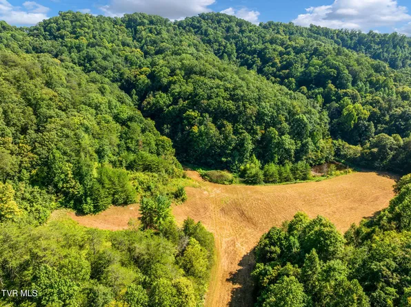 Bear Hollow Rd, Greeneville, TN 37745