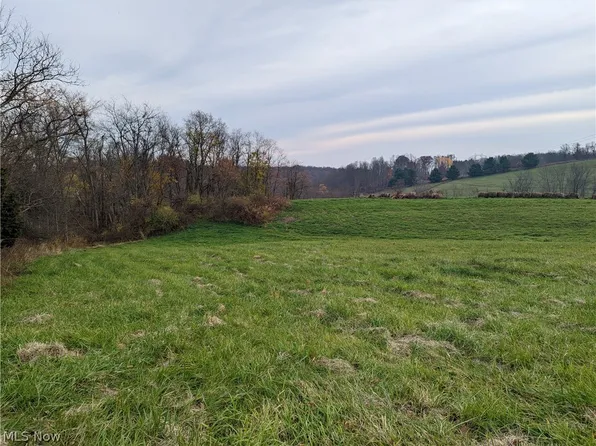 Township Road 164, Salineville, OH 43945