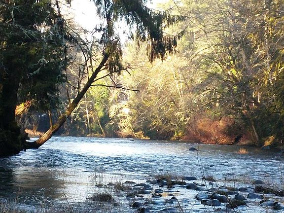 3rd image of 3433 Salmon River Hwy