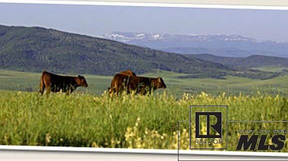 5th image of 42095 County Road 44
