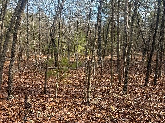 2nd image of 0 Gulley Branch Rd