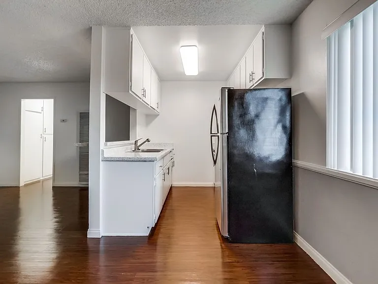 Palms Apartments — Photo 7
