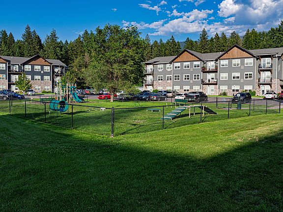 An expansive dog park with agility equipment