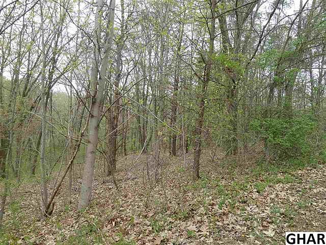 2nd image of 54 Lone Oak Dr