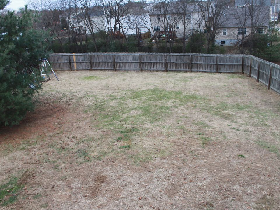 backyard/backs to common