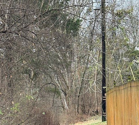 2nd image of 933 Old Lebanon Dirt Rd