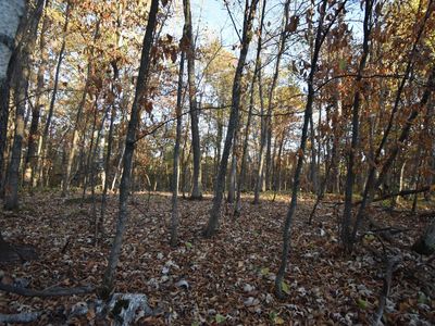 Tbd Ranchette Dr, Pequot Lakes, MN, 56472