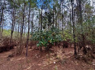 Vacant Sw Captain Brown Rd, Madison, FL 32340
