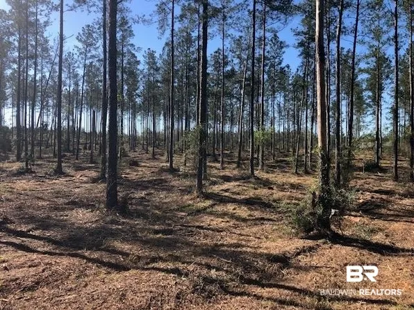 43480 State Highway 112, Bay Minette, AL 36507