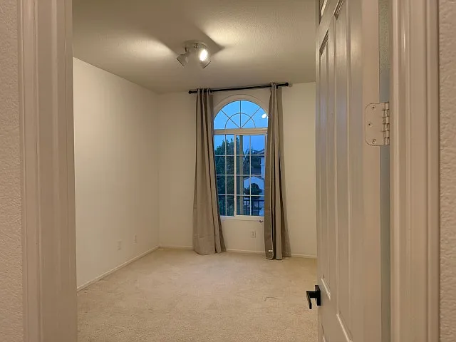 11674 Candy Rose Way — Photo 47