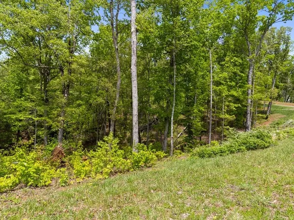 LOT 39 Jakes Landing Way, Ellijay, GA 30540