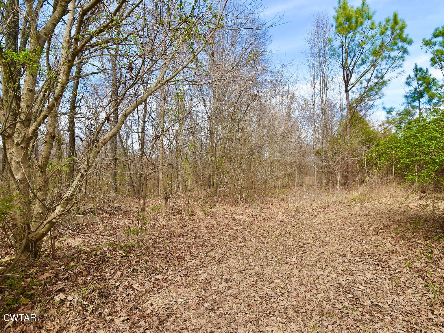 0 Christmasville Rd, Jackson, TN 38305 MLS 245167 Zillow