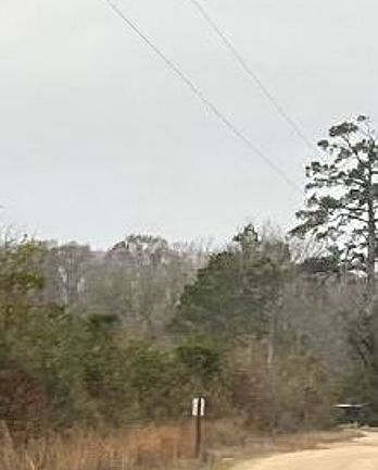 Exterior Neighborhood (street photo)