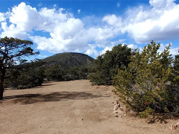 772 Scuppie Road LOT 772, Fort Garland, CO 81133