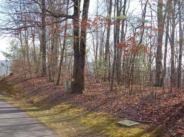 28A Mountain Harbour Dr, Hayesville, NC 28904