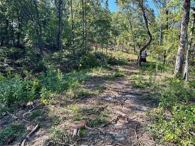 4.43 Lawrence Rd #3, Dawsonville, GA, 30534