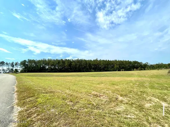 0 W Slope Dr #8, Carriere, MS 39426