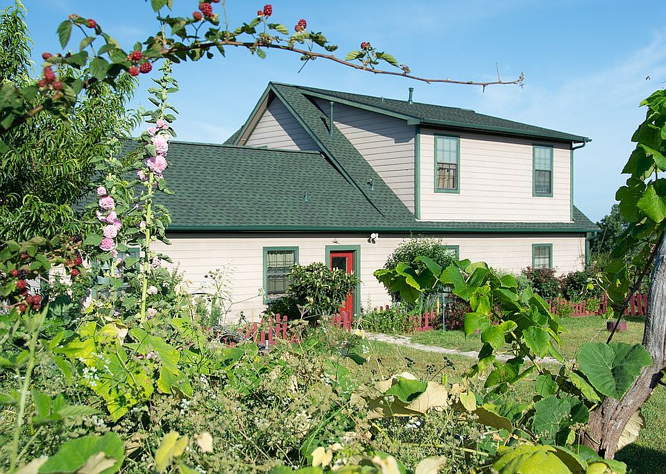 Front View thru Grape Vines