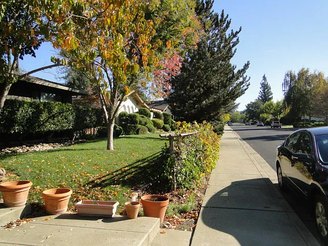 Wimbledon Rd, Walnut Creek — Photo 2
