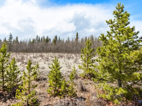 515 Wild Rye Rd, Fairplay, CO 80440